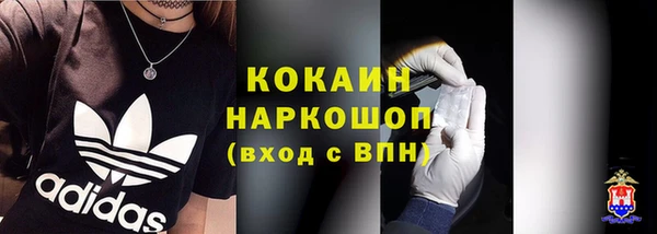 сатива Баксан